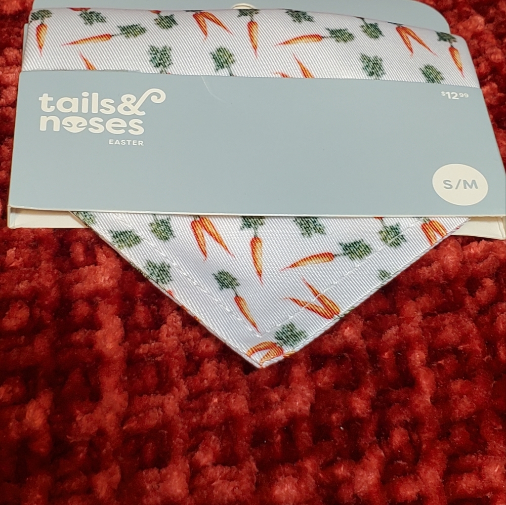 Pet Bandana